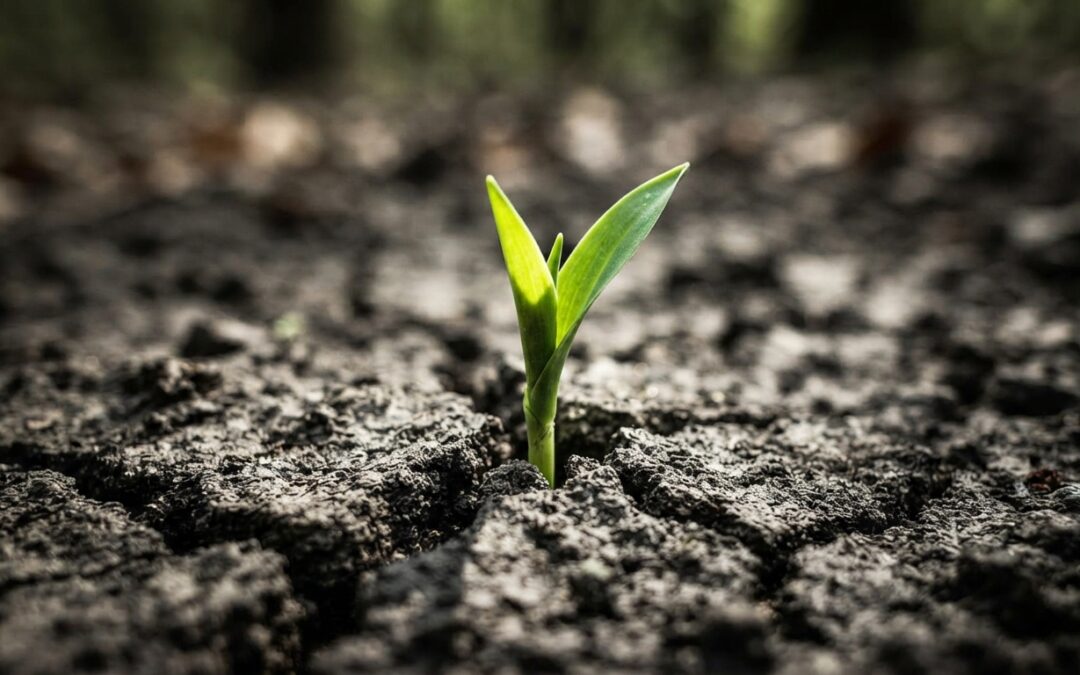 Managing Depression Symptoms: Finding Your Way Forward | W.E.I. Consult