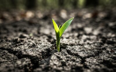Managing Depression Symptoms: Finding Your Way Forward | W.E.I. Consult